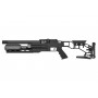 Carabine PCP Epic Two Tactical Compact CZUB Epic Airguns
