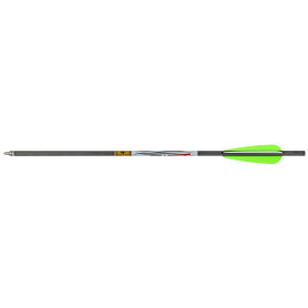 Flèche FX Verminator MKII 20" Gold Tip