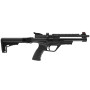 Pistolet PCP General Beeman Haute Précision | Tir Sportif