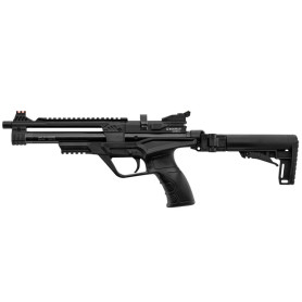 Pistolet PCP General Beeman Haute Précision | Tir Sportif