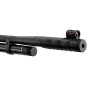 Carabine PCP Beeman Raider 1320 | Précision et 19,9 Joules