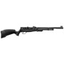 Carabine PCP Beeman Raider 1320 | Précision et 19,9 Joules