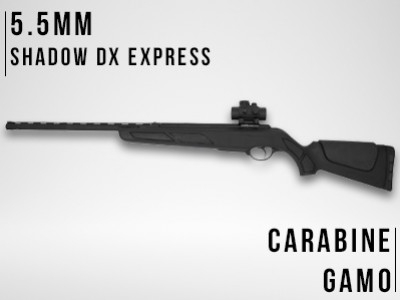 Shadow Dx Express : l'OVNI