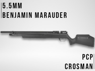 Benjamin Marauder: simple, efficace